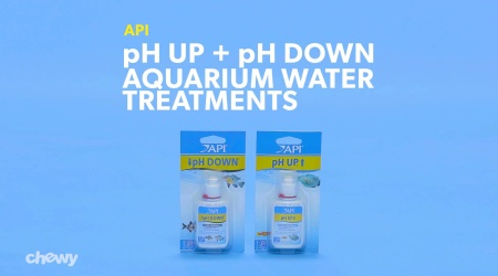 Api Ph Up Freshwater Aquarium Water Treatment 16 Oz Bottle Chewy Com