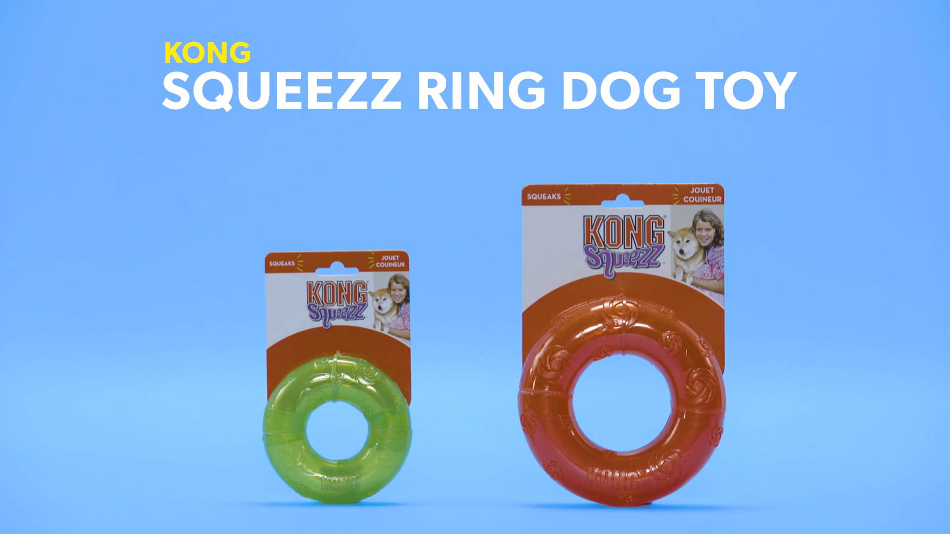 kong ring dog toy
