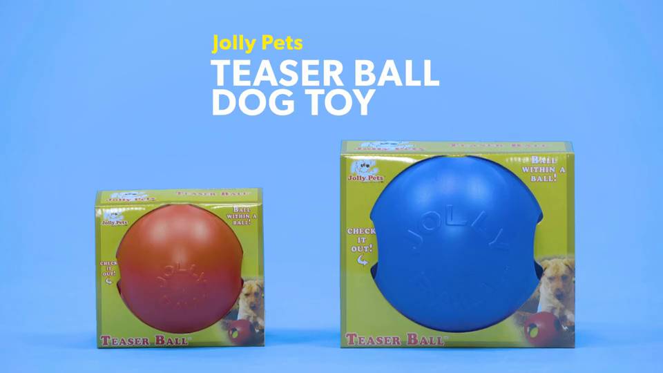 blue ball dog toy