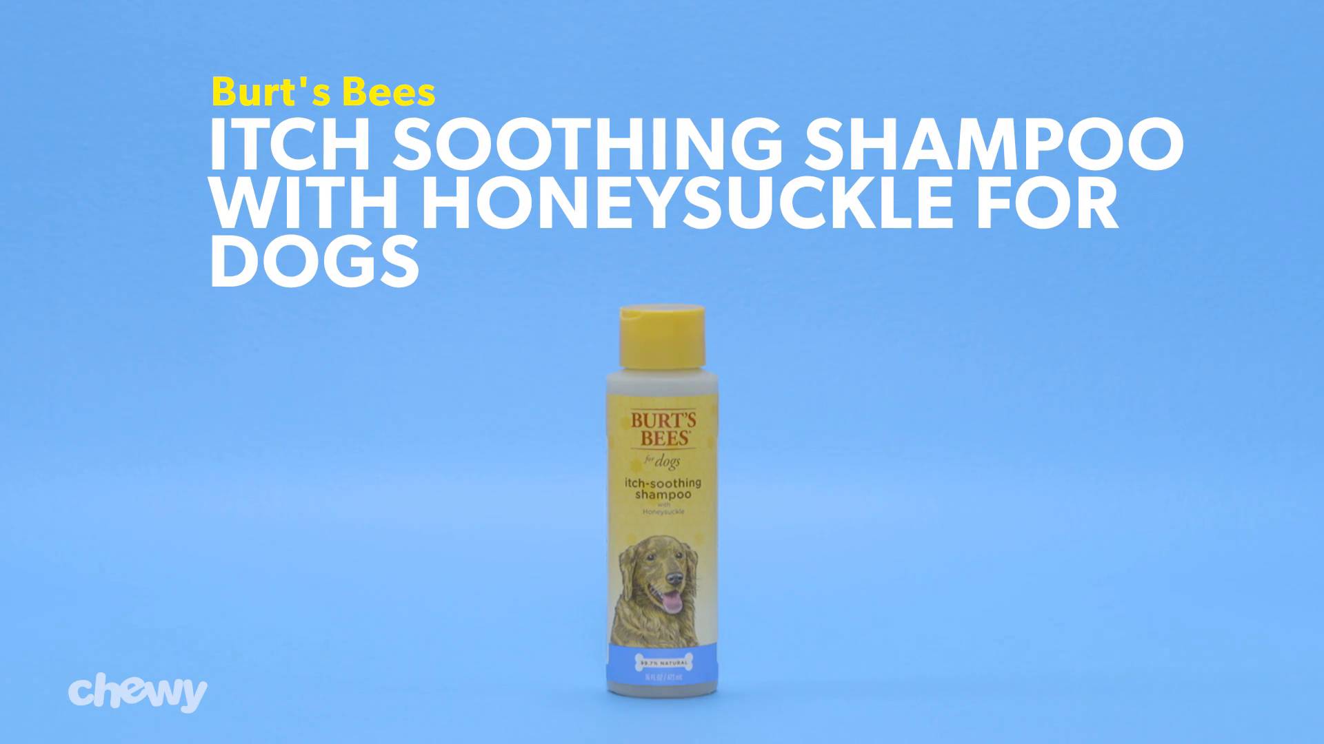 burt's bees anti itch dog shampoo reviews