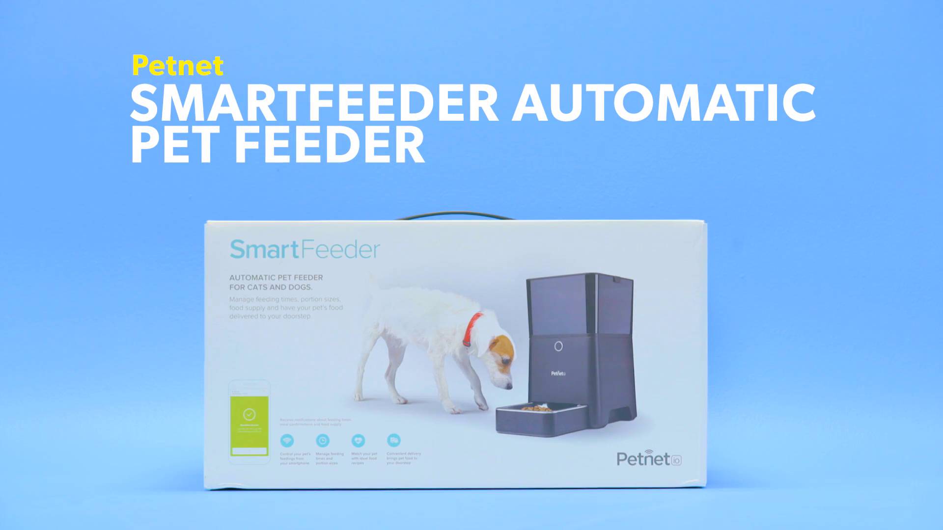 petnet cat feeder