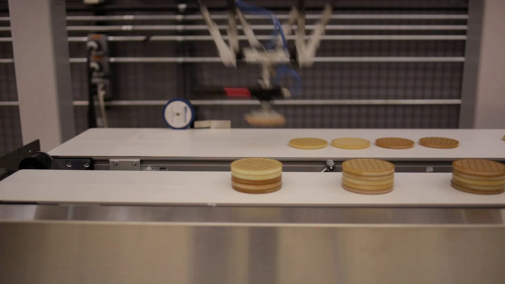 robotics in food processing