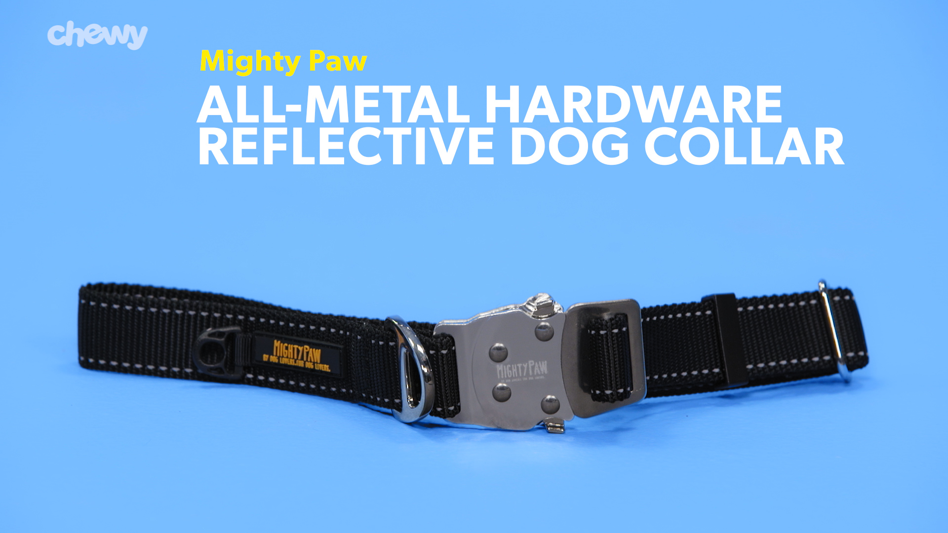 metal buckle collar