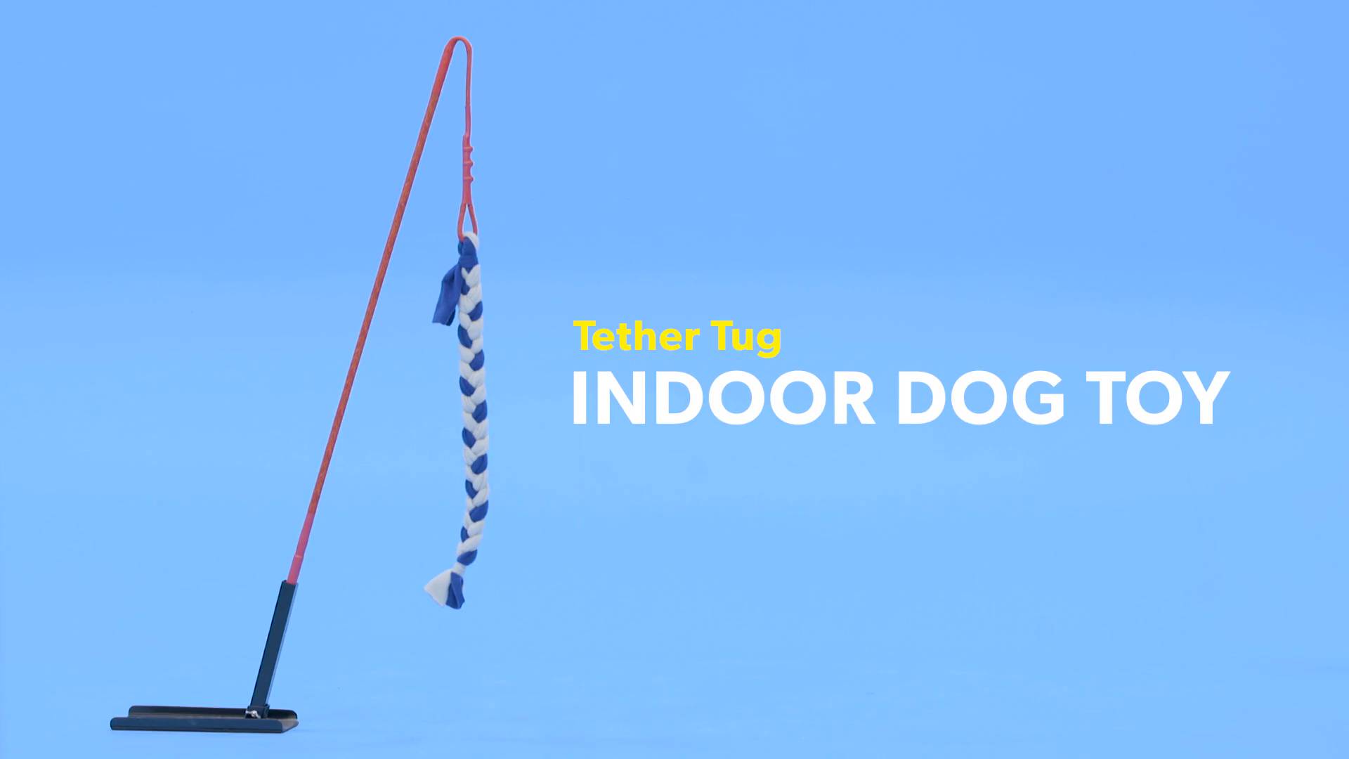 tether tug indoor dog toy