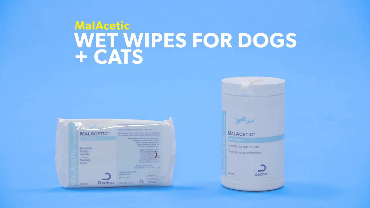 wet wipes for cats