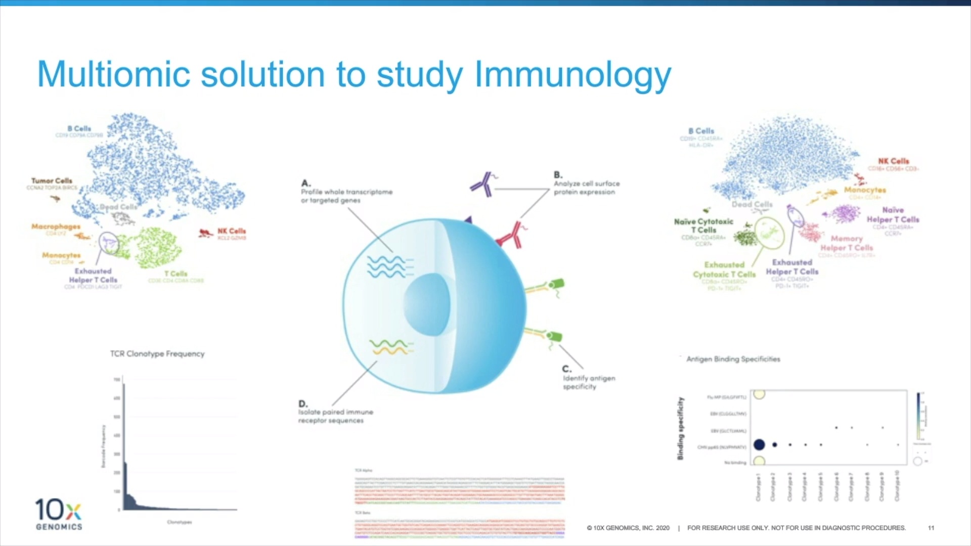 High resolution characterization of the immune system with Single Cell Immune Profiling v2 
