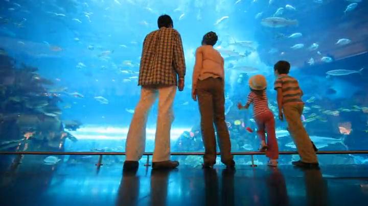 instant ocean holdfast