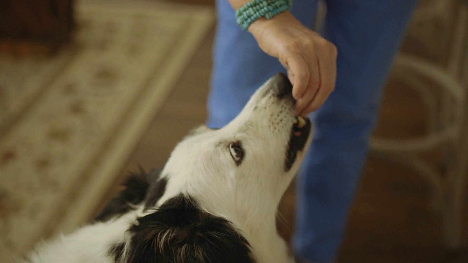 movoflex joint support