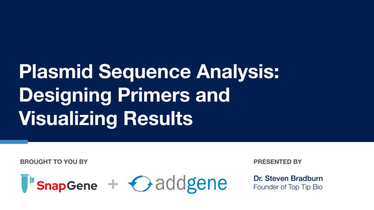 Plasmid Sequence Analysis Designing Primers and Visualizing Results