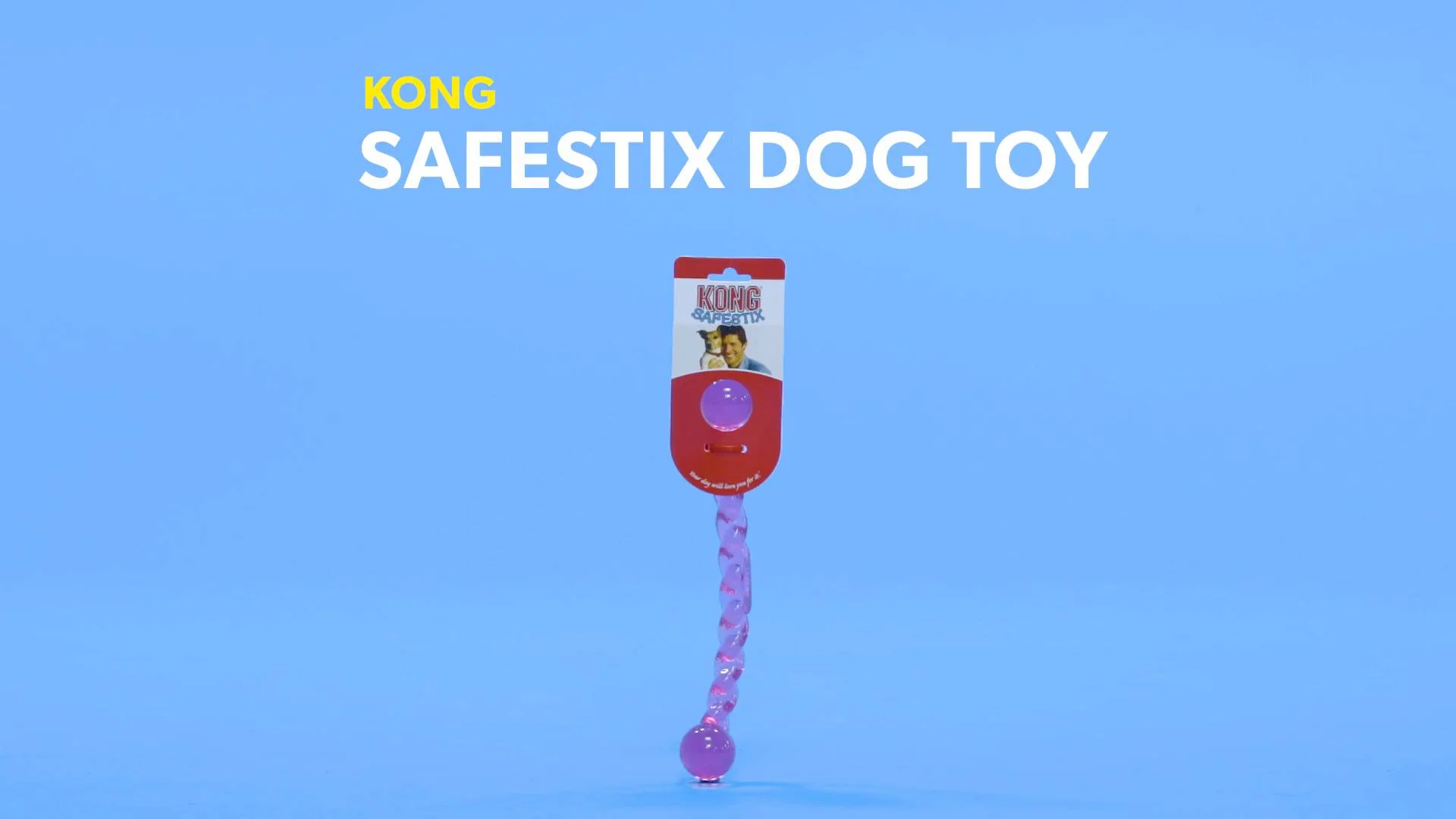 kong safestix large