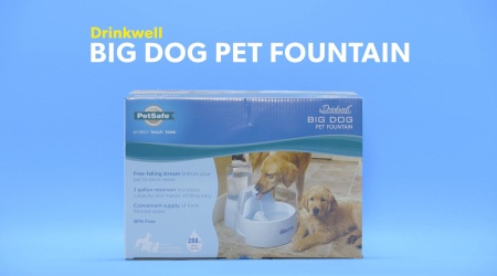 Drinkwell Big Dog Pet Fountain 2 25 Gal Free Shipping Chewy