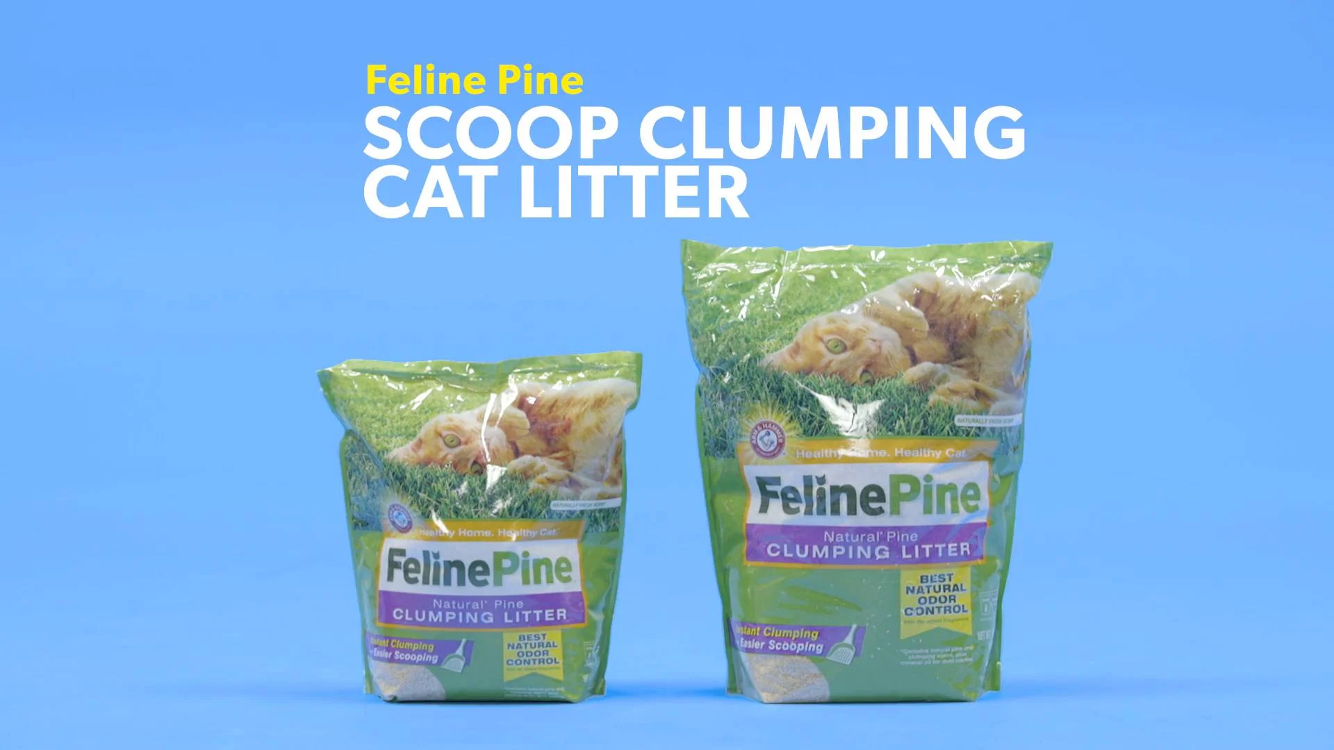 feline pine scoop clumping cat litter