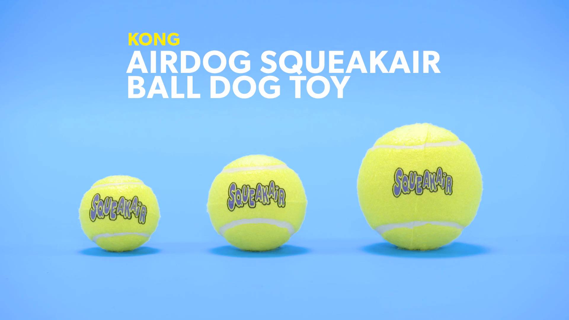 kong squeakair