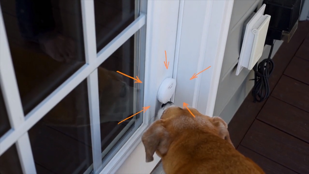 mighty paw doggy doorbell