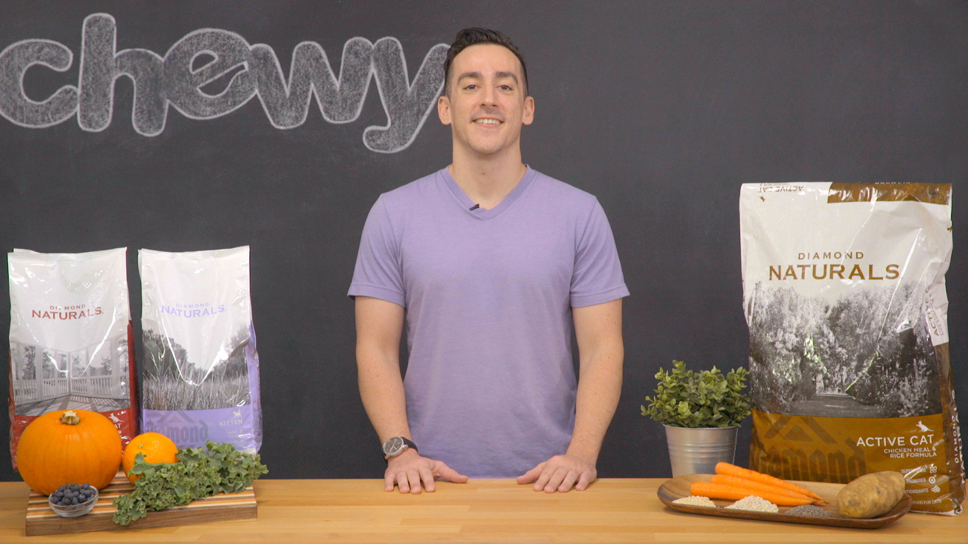 diamond naturals kitten food