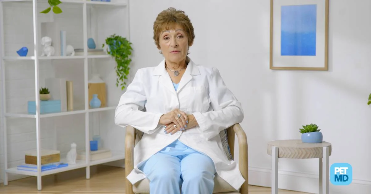 cost to put down a dog