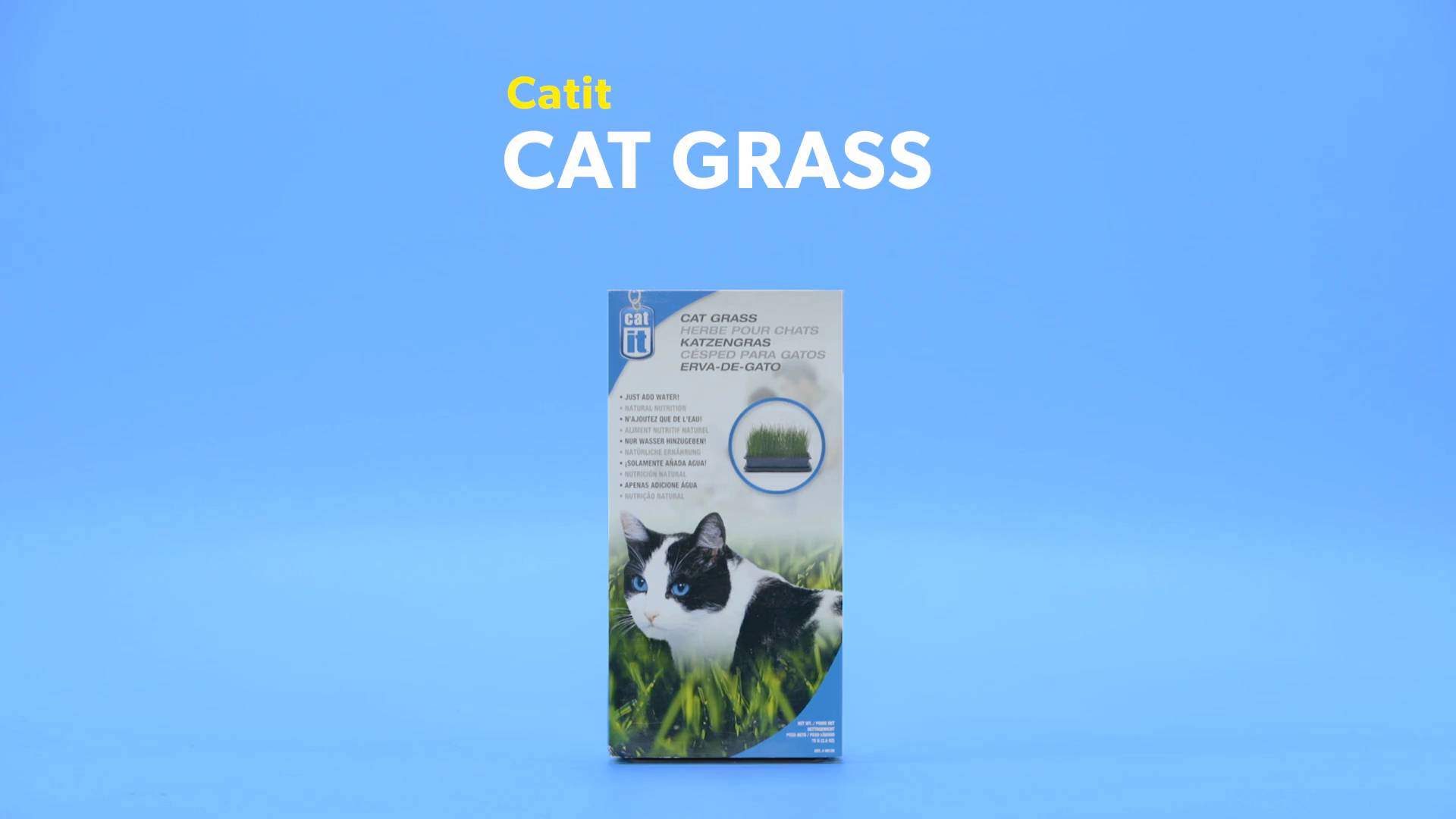 catit cat grass kit