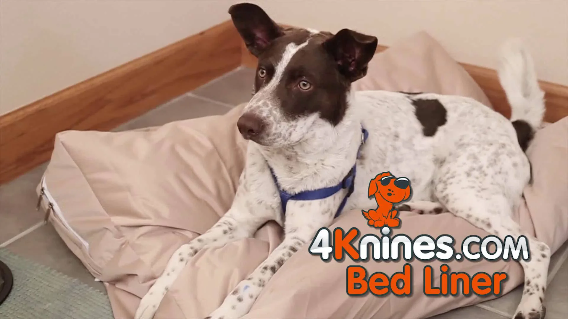 dog bed liner