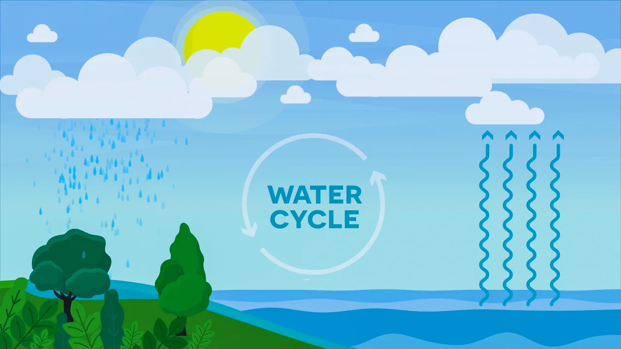 Water Cycle 3 5 Version Video For Kids 3rd 4th 5th Grade