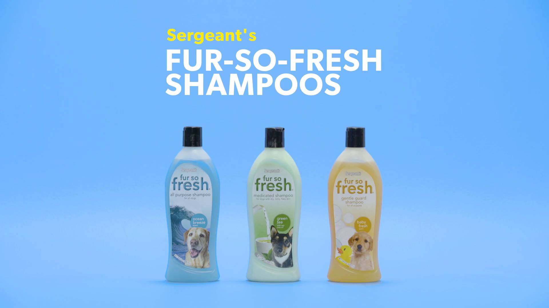sergeant's oatmeal shampoo