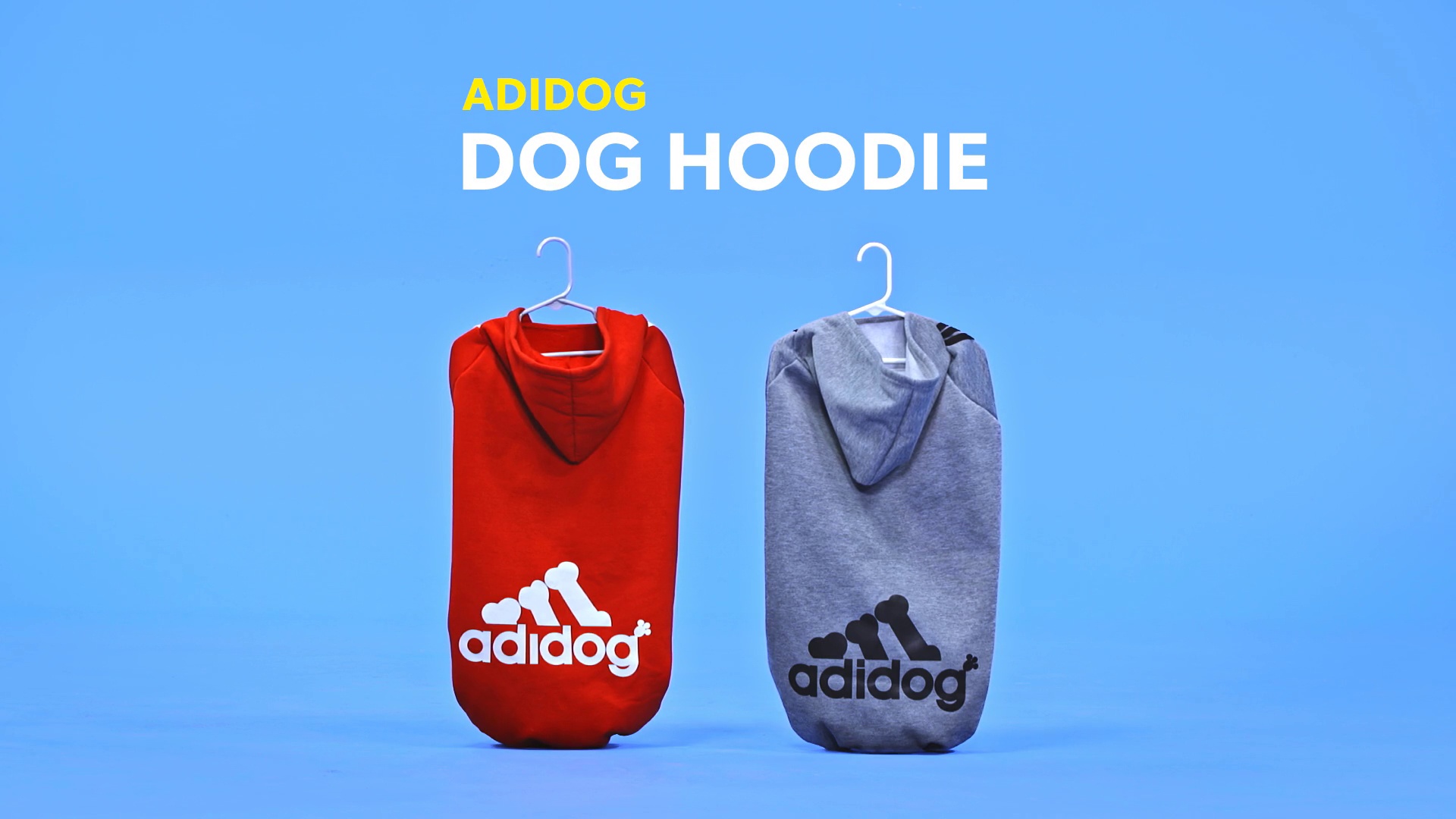 adidog chewy