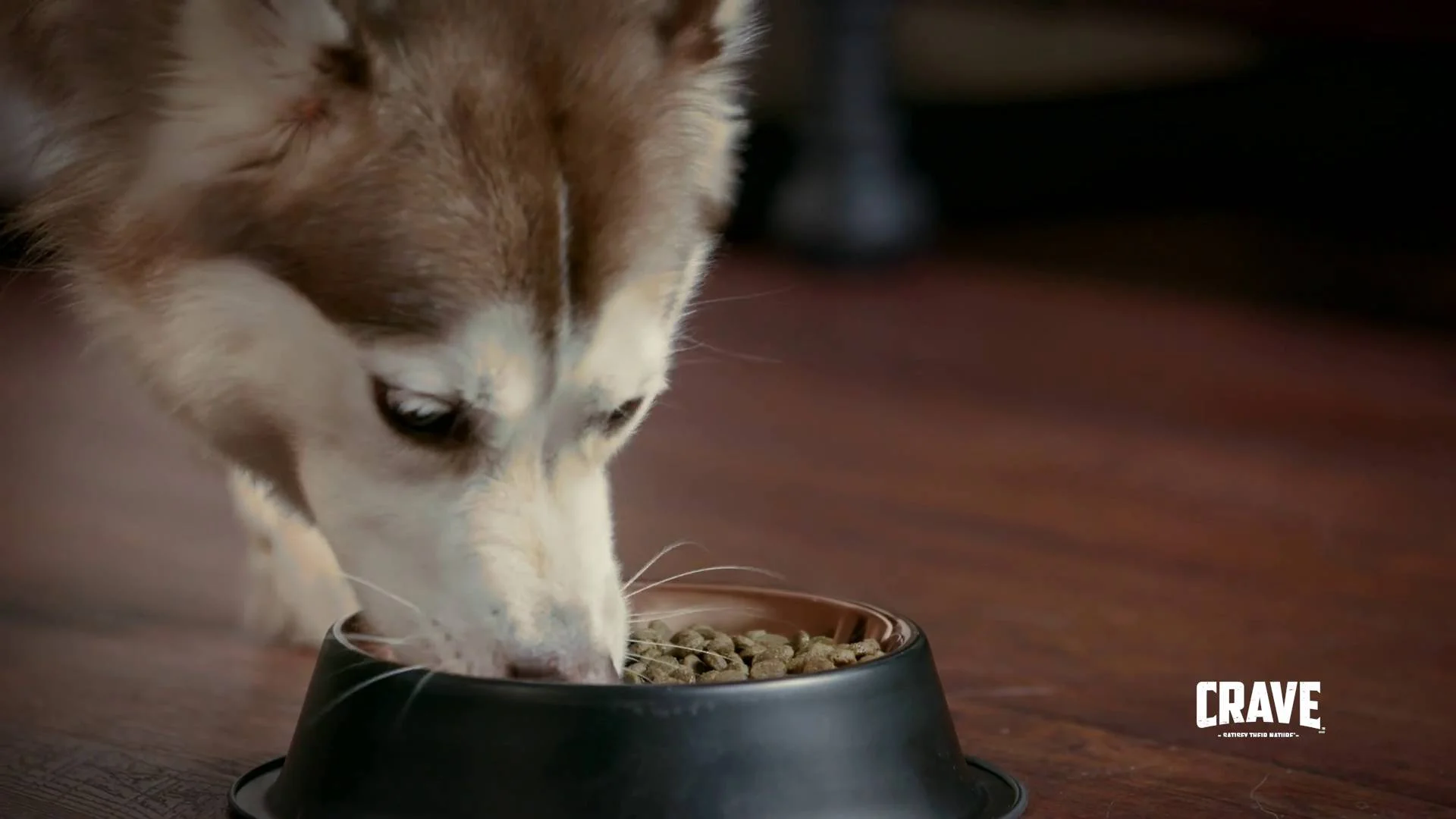 review of crave dog food