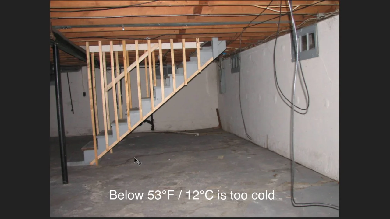 初心者が屋内でマリファナを栽培する