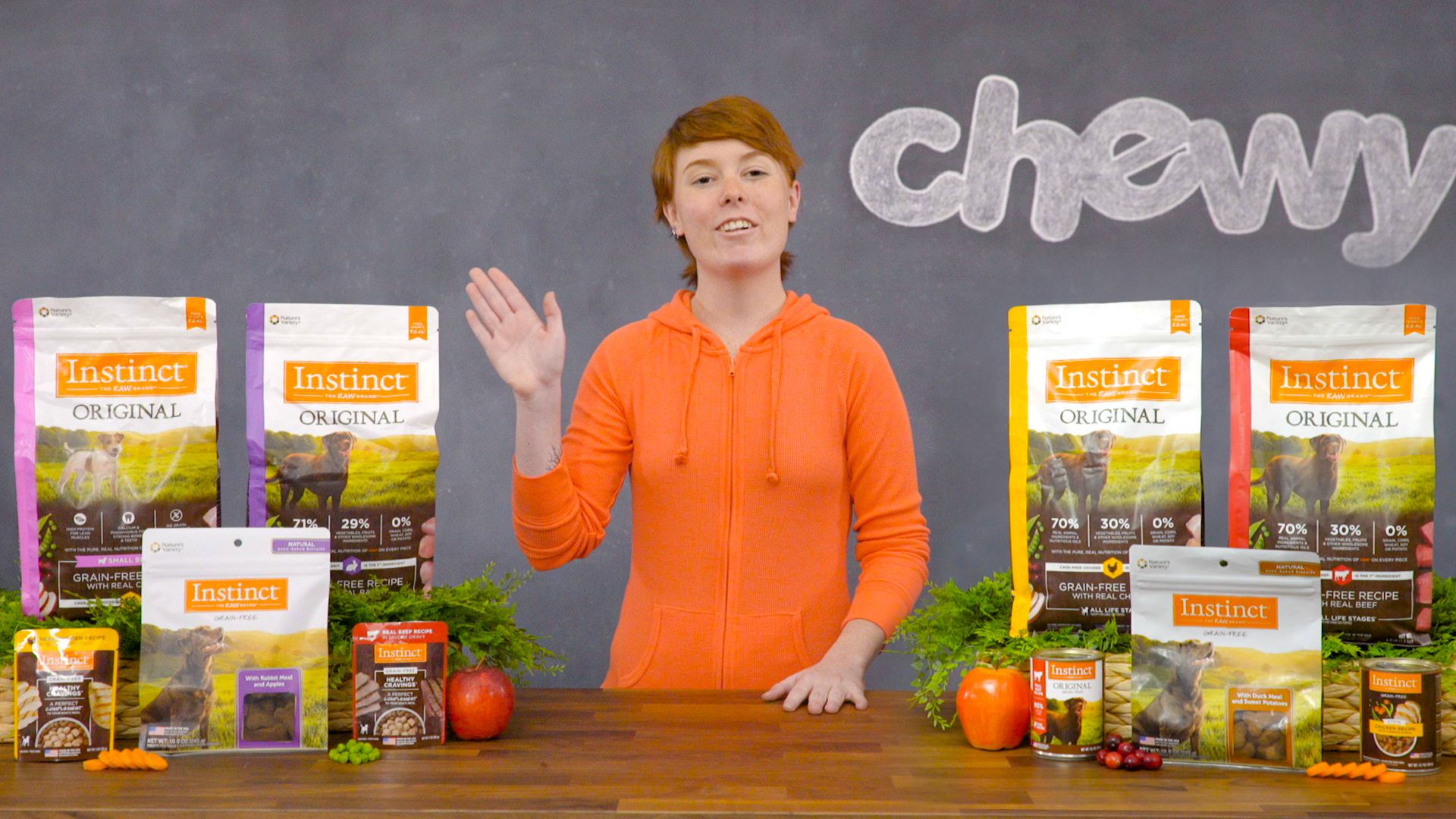 instinct raw salmon dog food