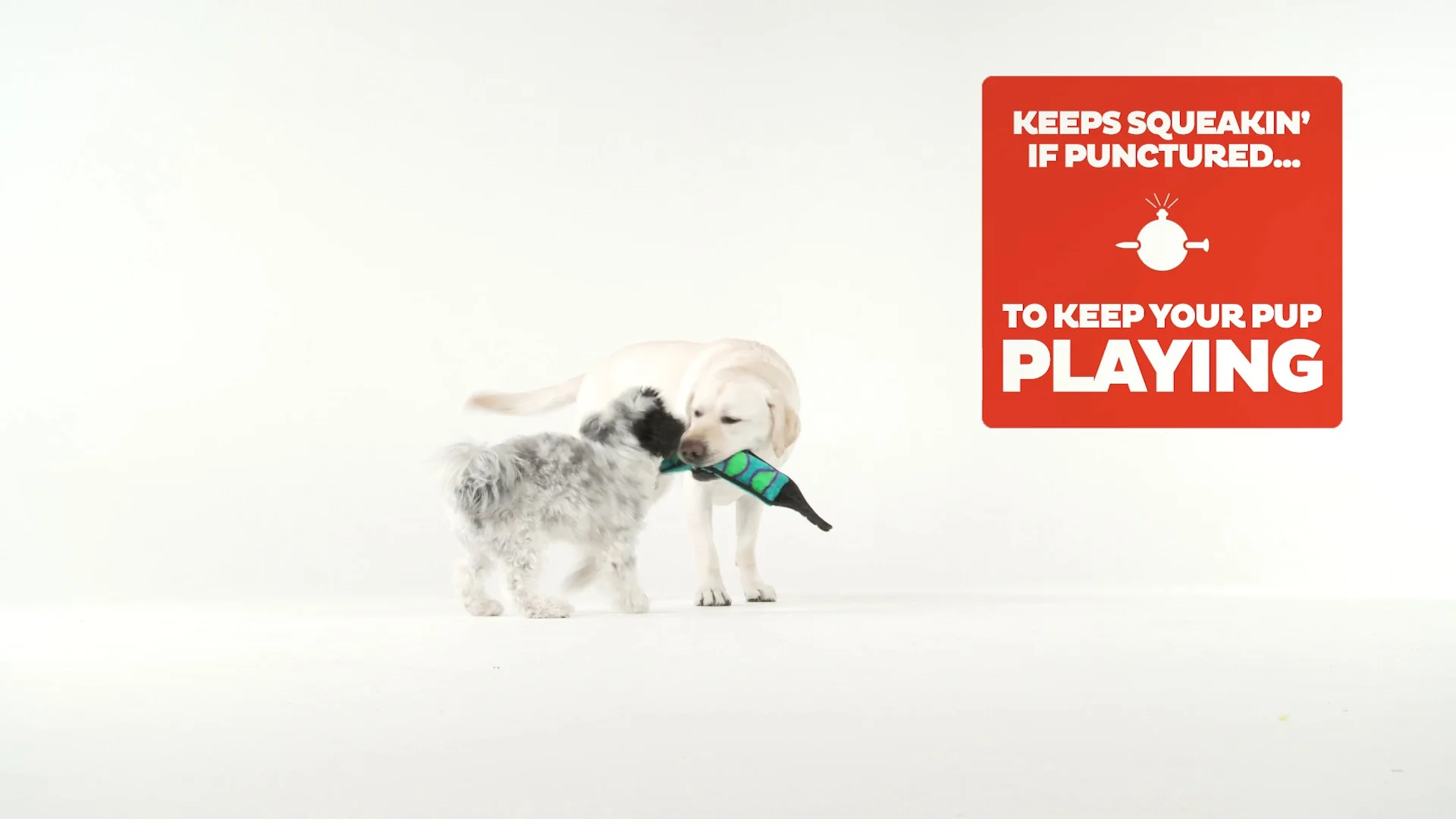 outward hound invincibles snake ginormous