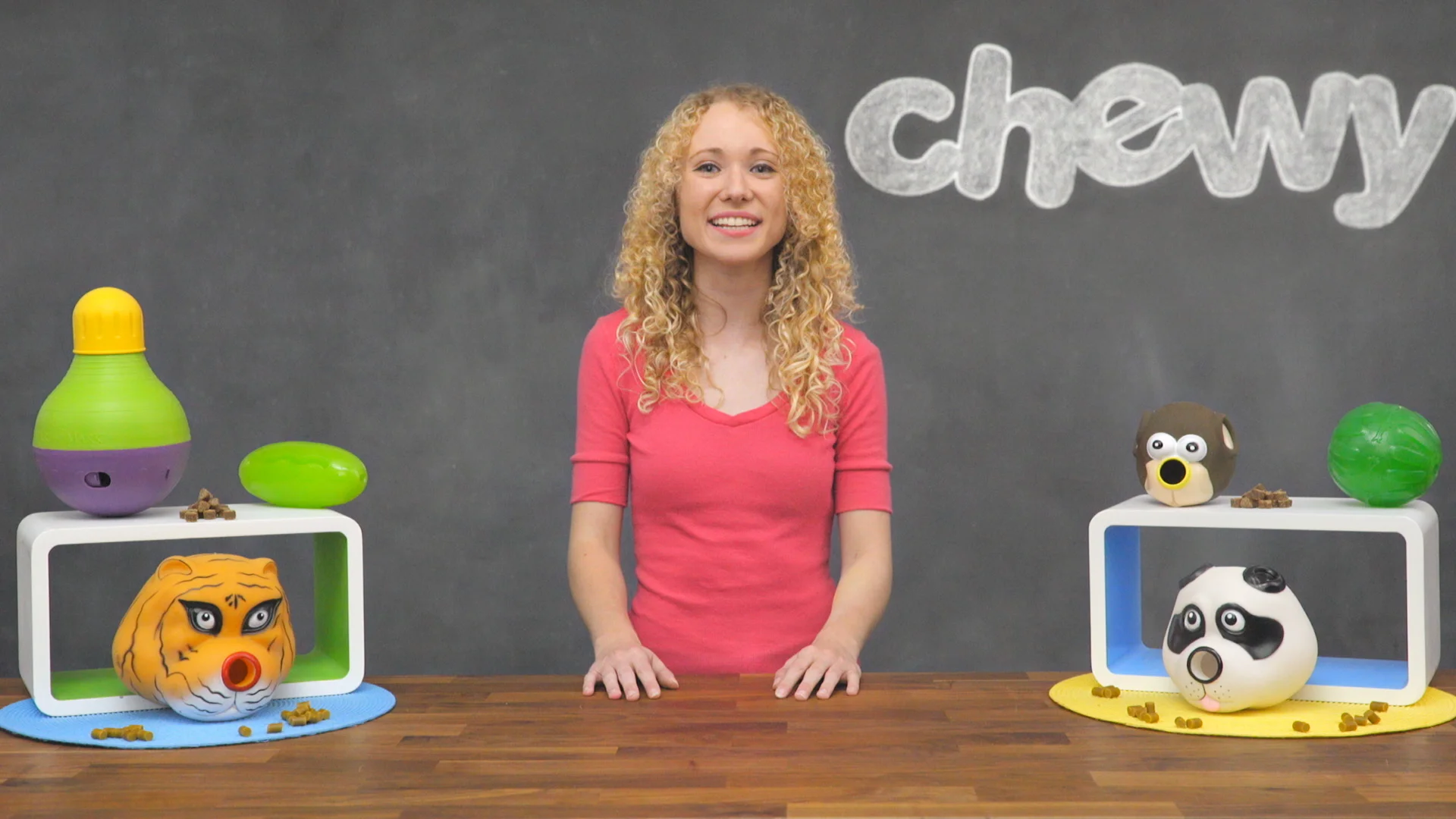 pickle pocket dog toy