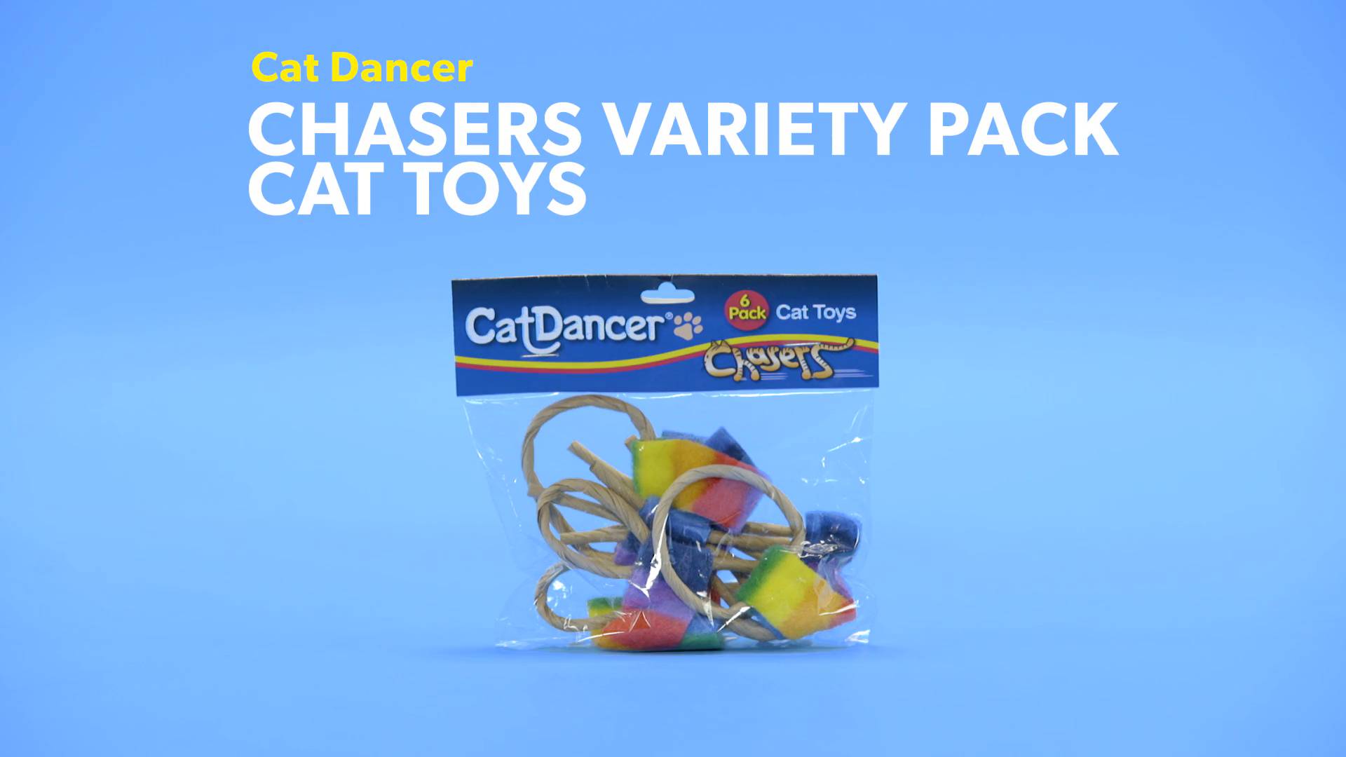 cat dancer chasers