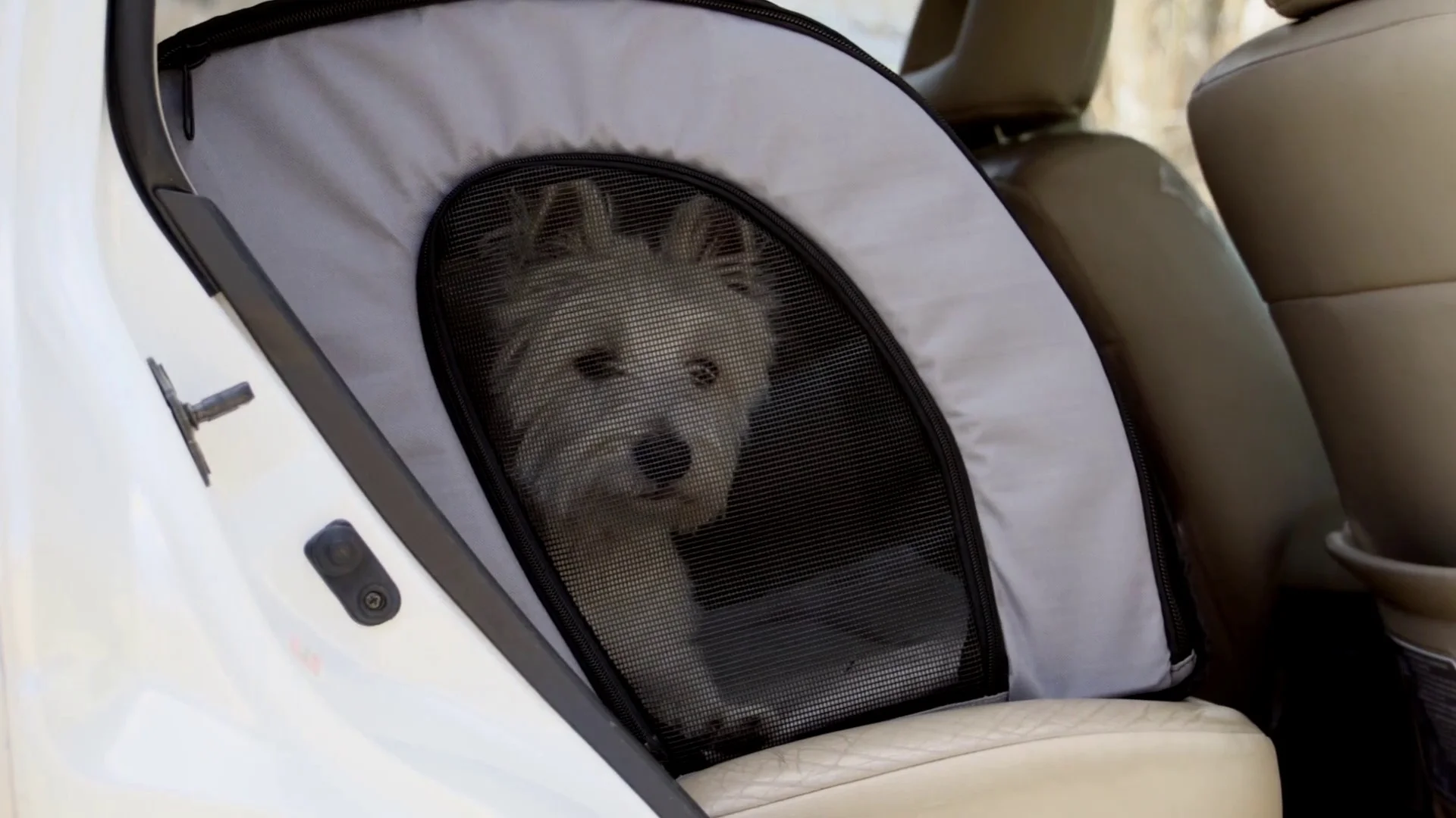 k&h pet products travel safety carrier