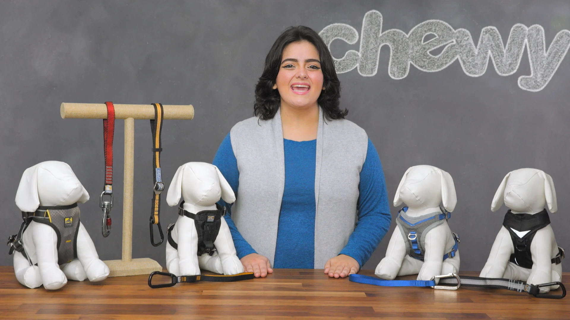 kurgo direct to seatbelt tether