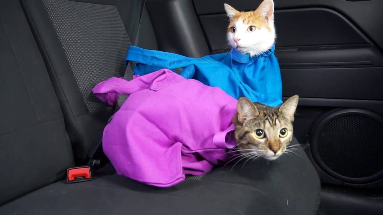 CAT-IN-THE-BAG E-Z-Zip Cat Carrier Bag 