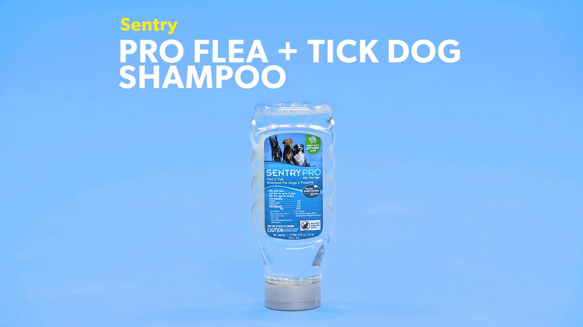 sentry medicated shampoo for dogs