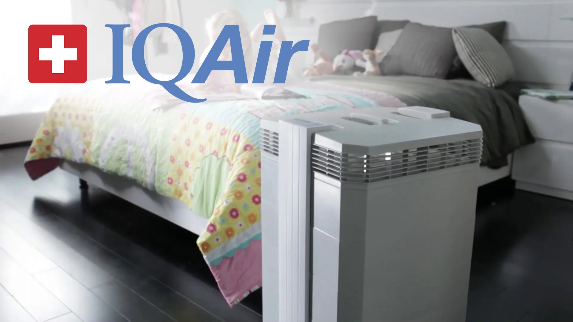 iqair multigas air purifier