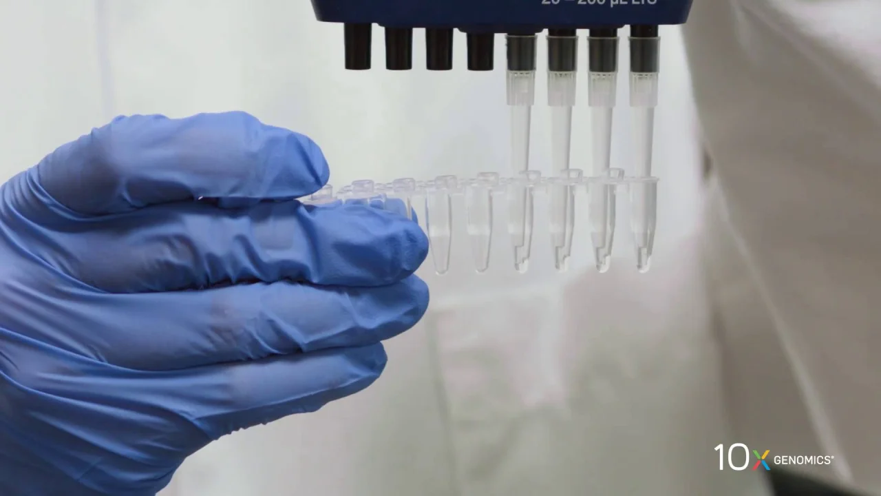 10x genomics
