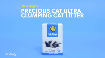 Dr elseys precious cat ultra cat litter 18 pound bag Dr Elsey S Precious Cat Ultra Unscented Clumping Clay Cat Litter 20 Lb Box Chewy Com