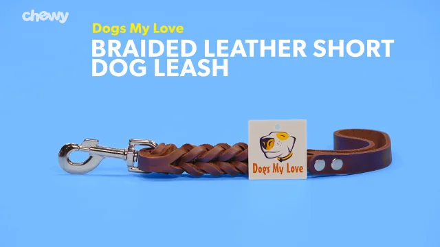 Dogs My Love Braided Leather Short Dog Leash Black 1 Ft Long In Wide Chewy Com - Braided Leather Dog Leash Instructions Dogs My Love Braided Leather Short Dog Leash Black 1 Ft Long In Wide Chewy Com - Braided Leather Dog Leash Instructions