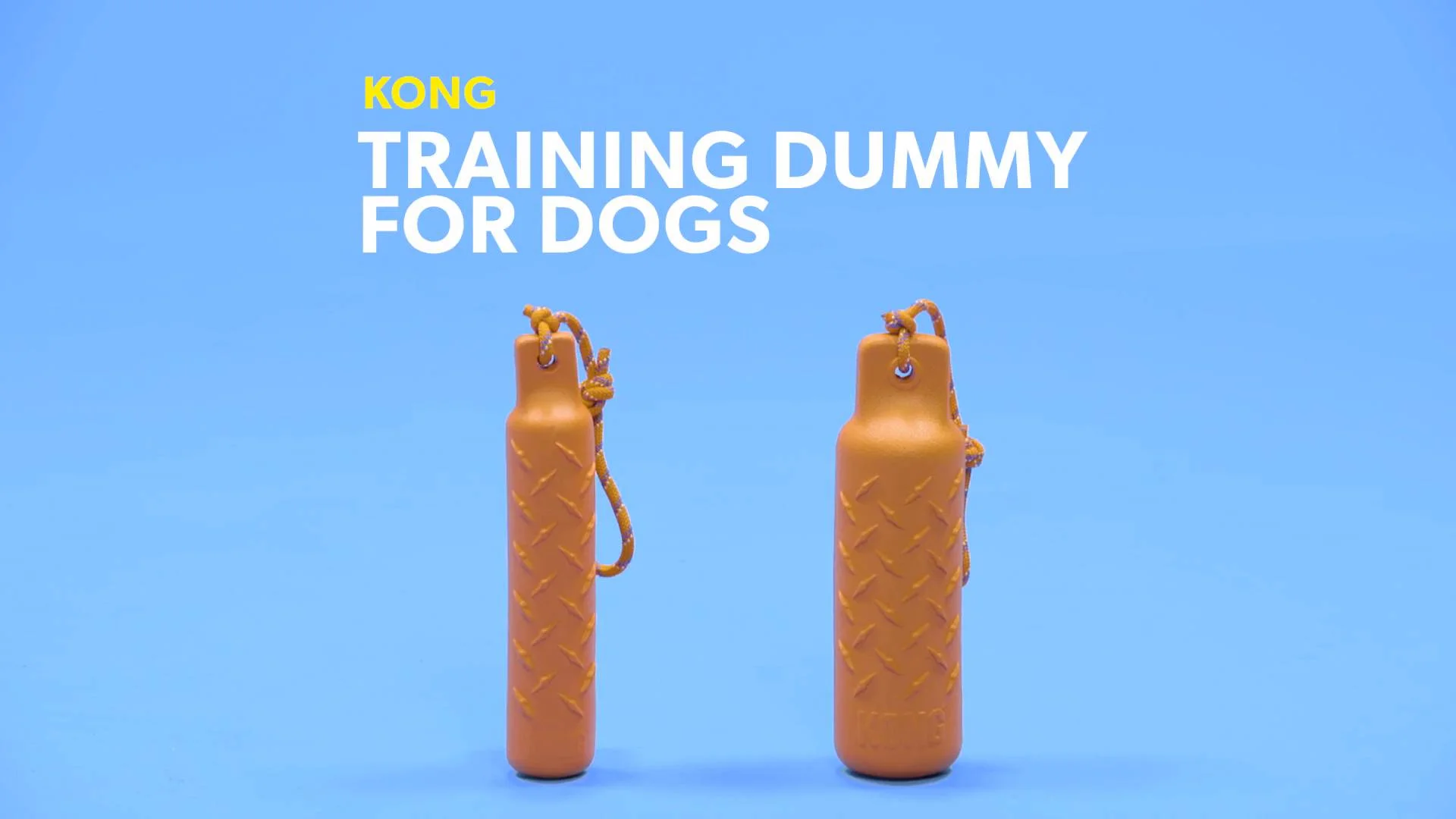 kong training dummy large