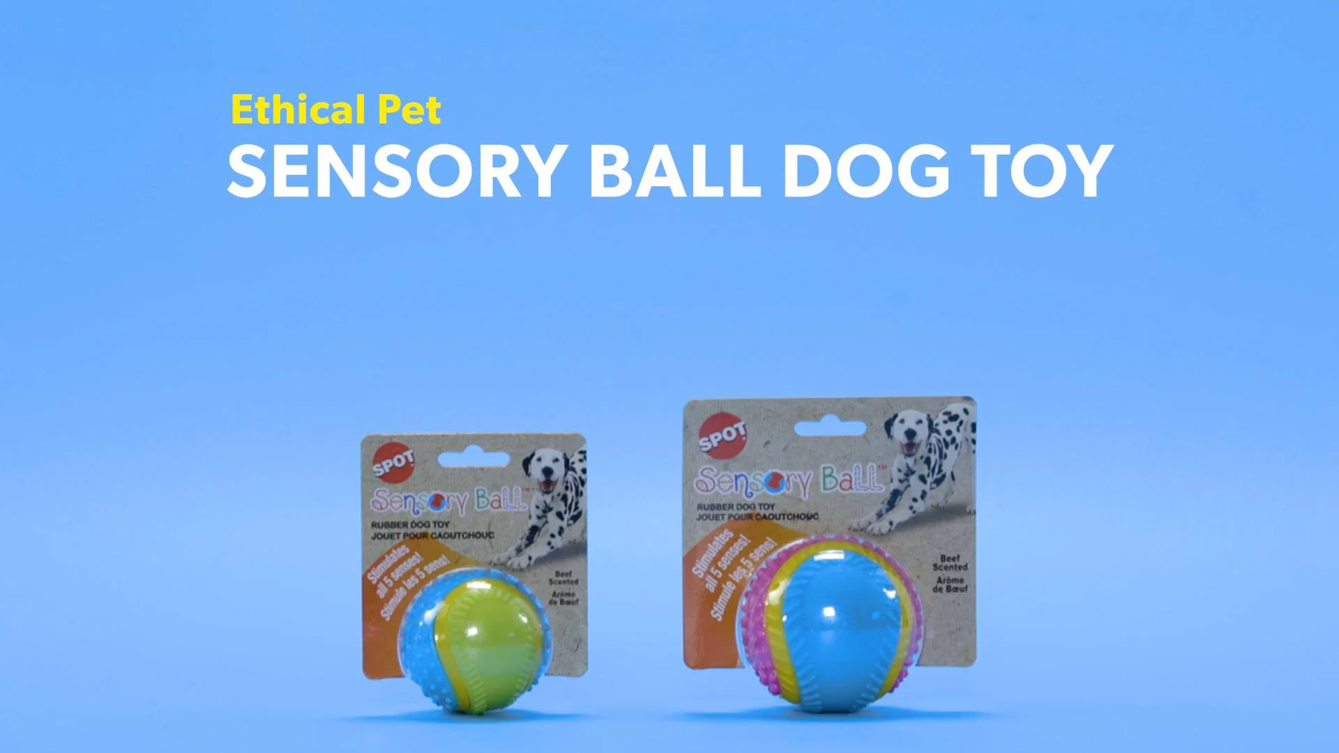dog sensory ball