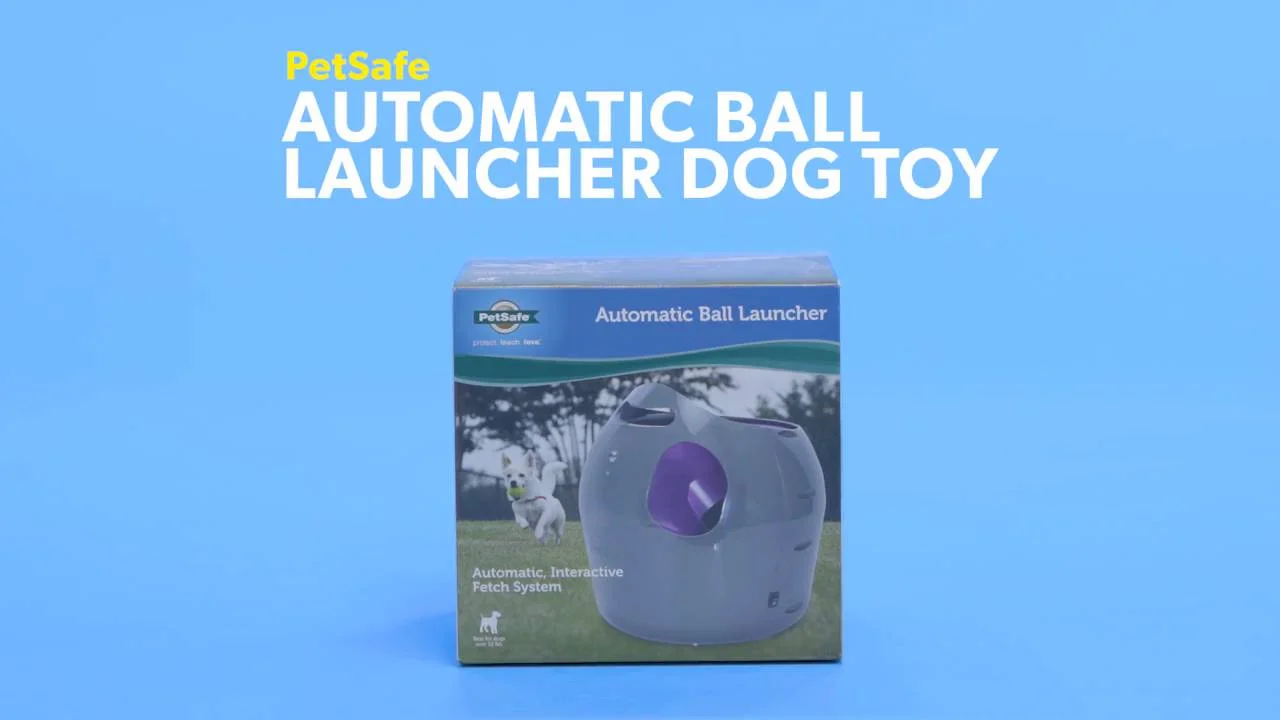 petsafe automatic ball launcher