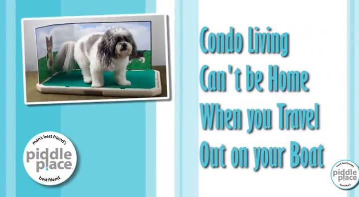 piddle place indoor dog toilet