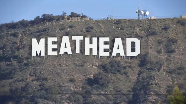Hollywood Movers Of Meathead Movers Top Hollywood Moving Company