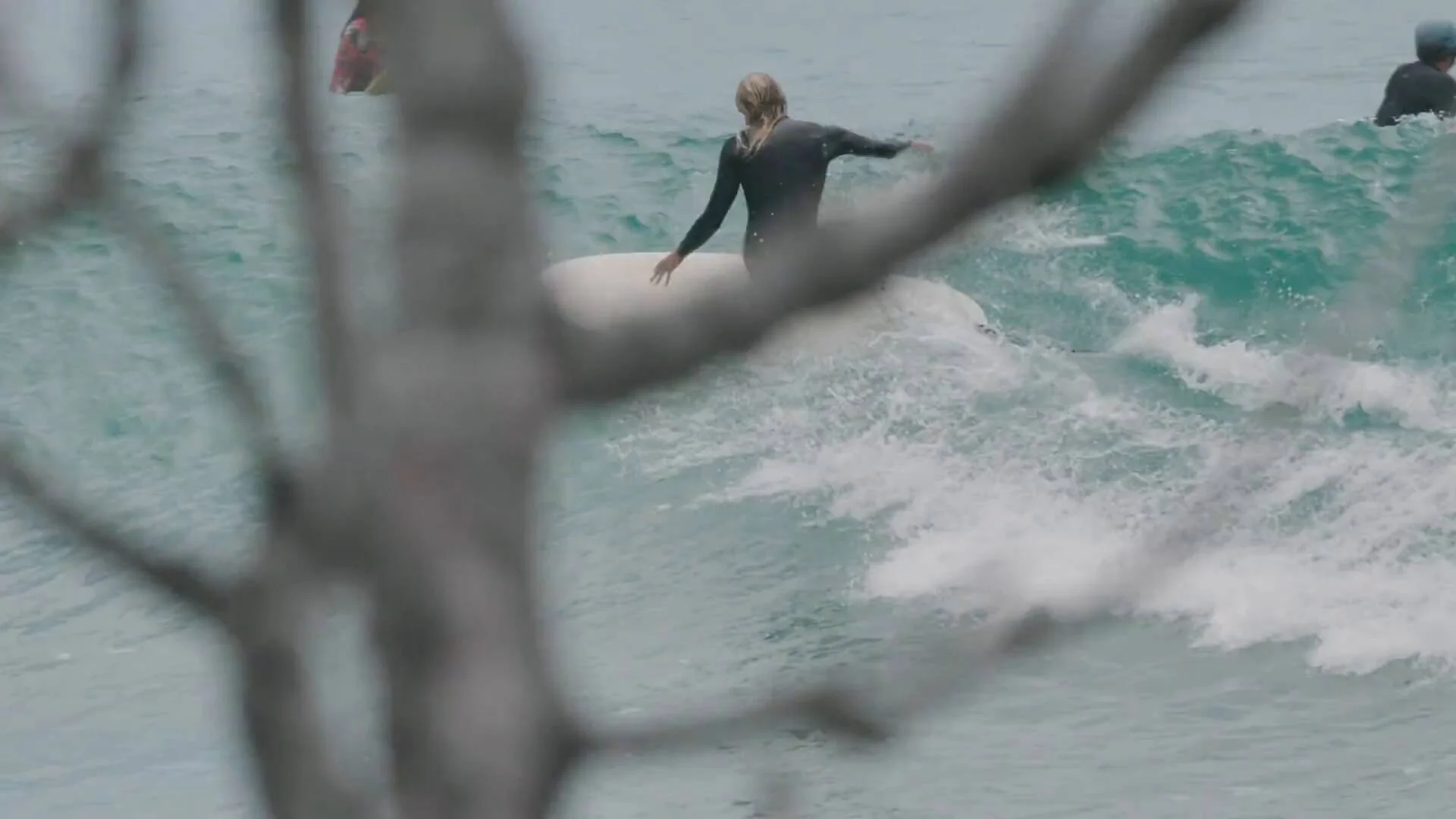 animal surf shop near me