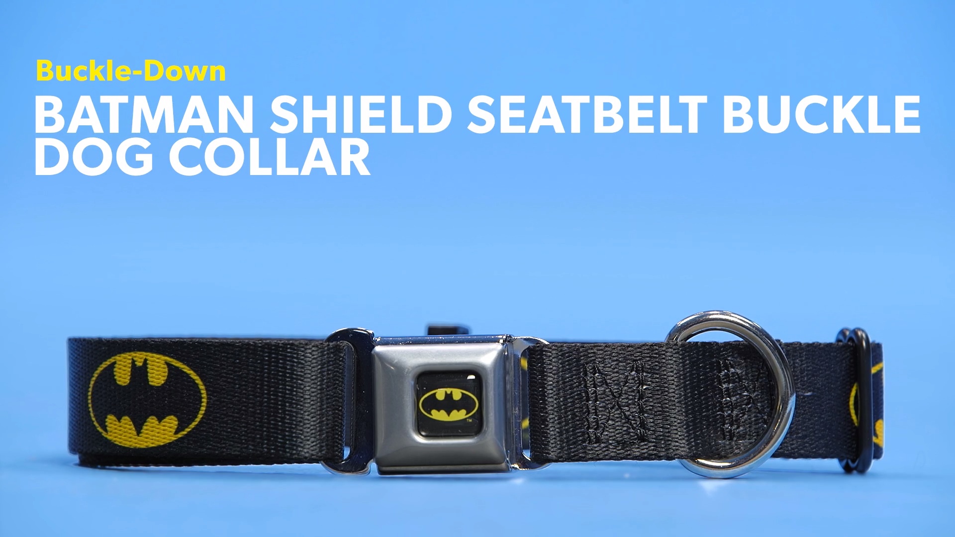 dog collar shield