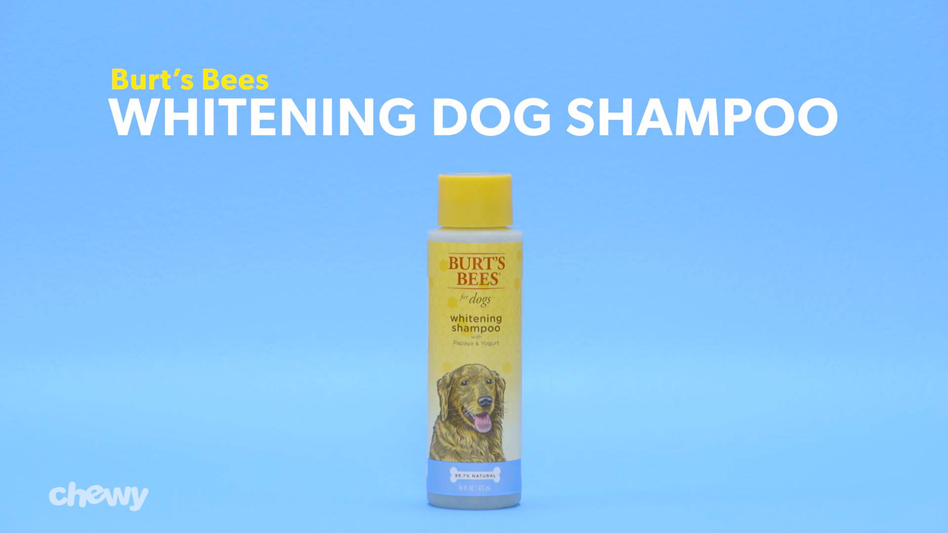 burt's bees flea shampoo