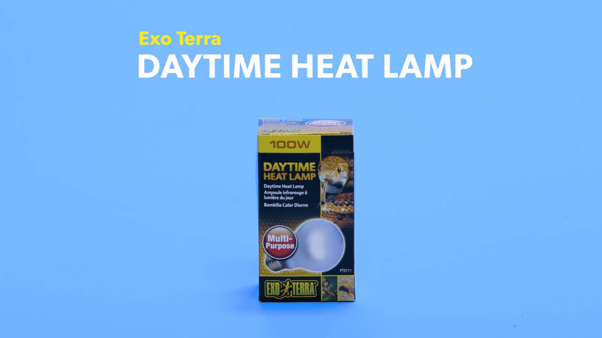 exo terra daytime heat lamp 100w