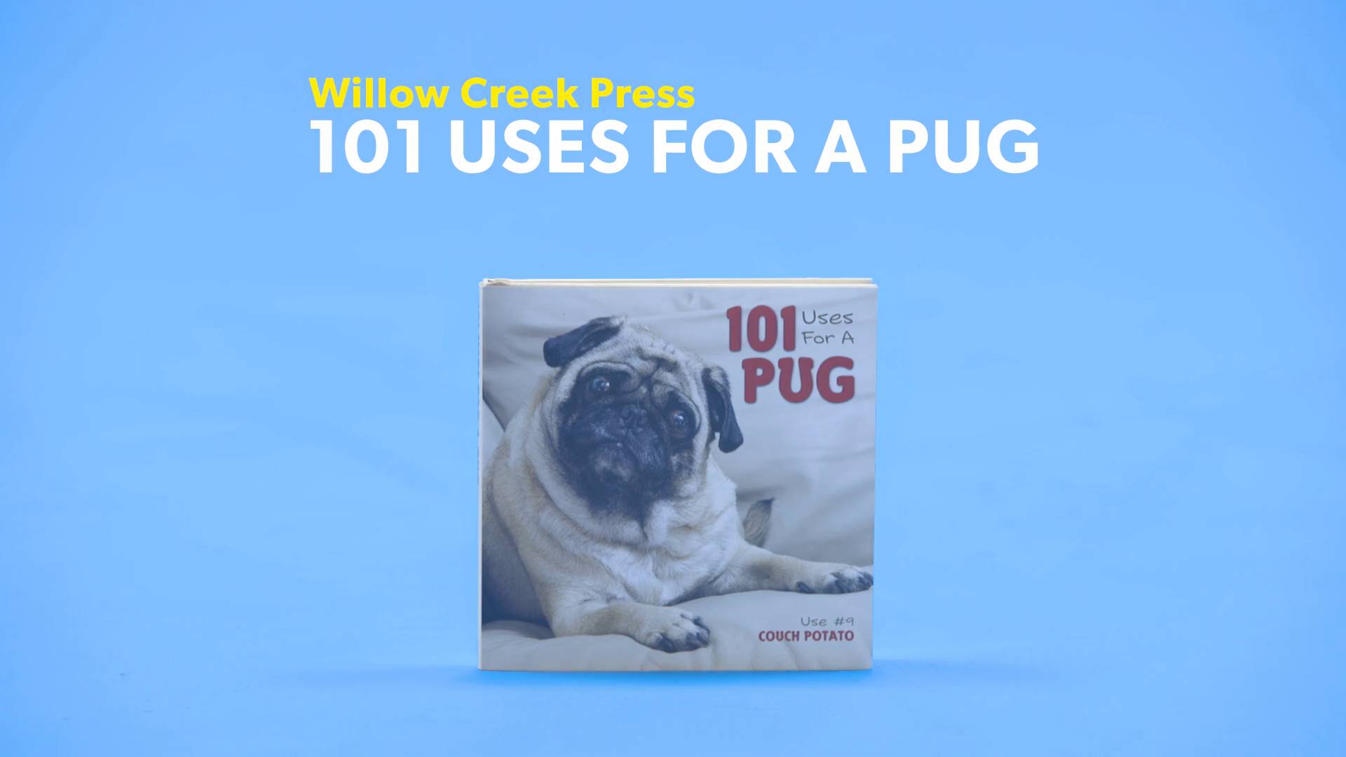 101 uses for a pug