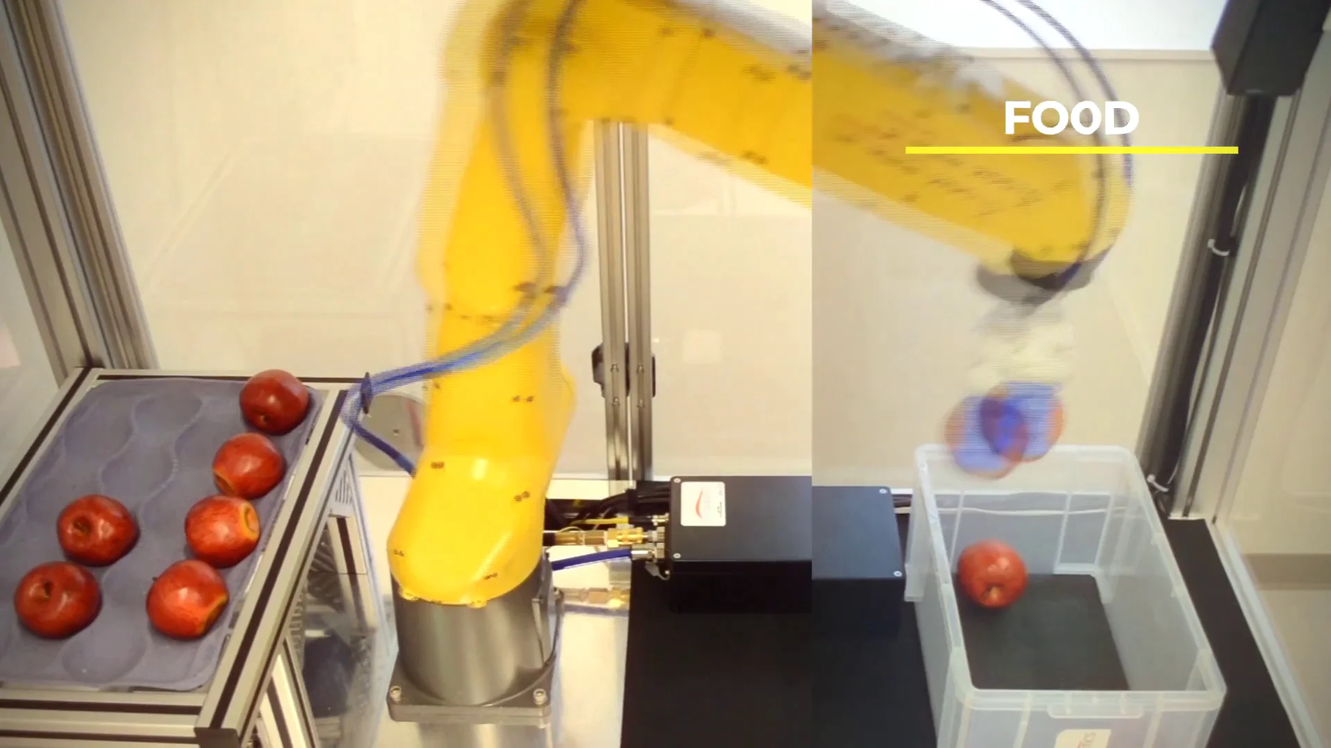 fanuc food grade robot